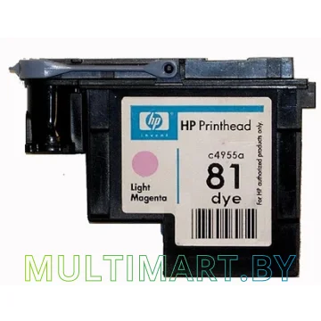 Печатающая головка HP 81 (C4955A) картинка 2